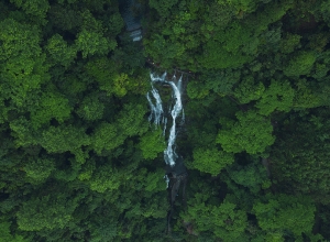 景区案例